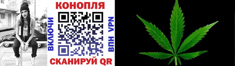 Наркотические вещества Александров ГАШ Канабис APVP Меф мяу мяу
