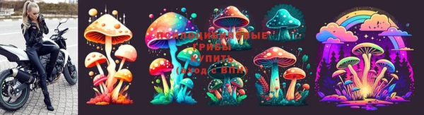 гидра Баксан