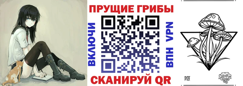 Псилоцибиновые грибы Psilocybine cubensis  Александров 